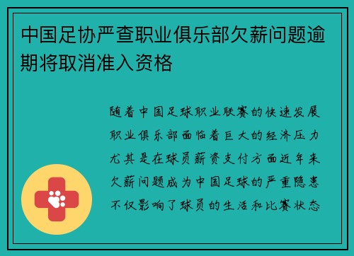 中国足协严查职业俱乐部欠薪问题逾期将取消准入资格